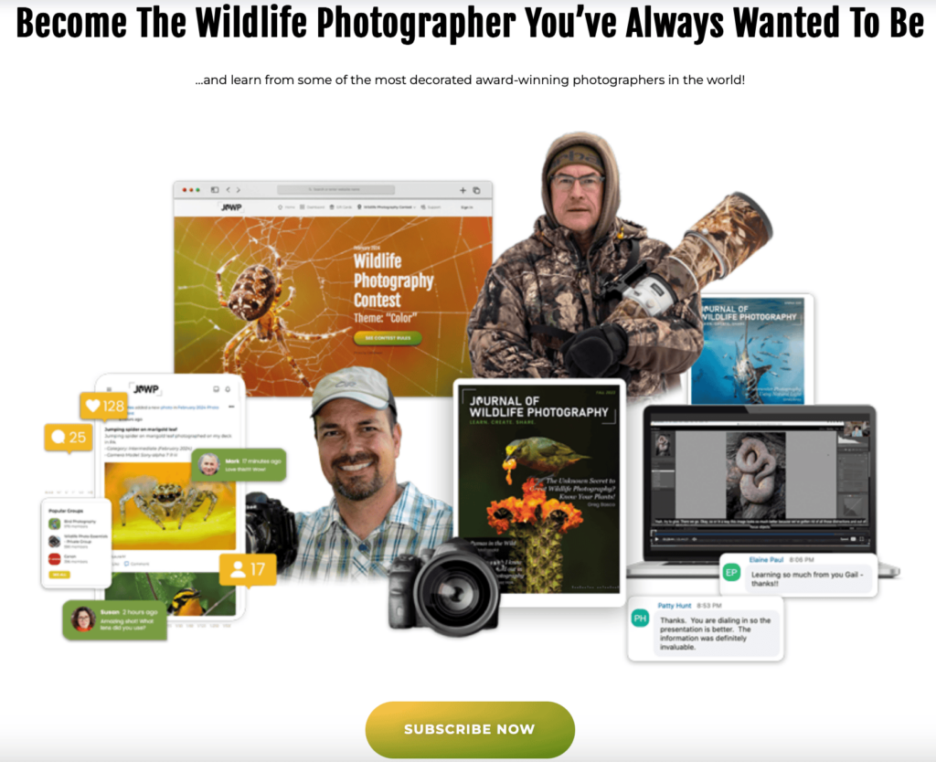 Journal of Wildlife Photography Black Friday 2024